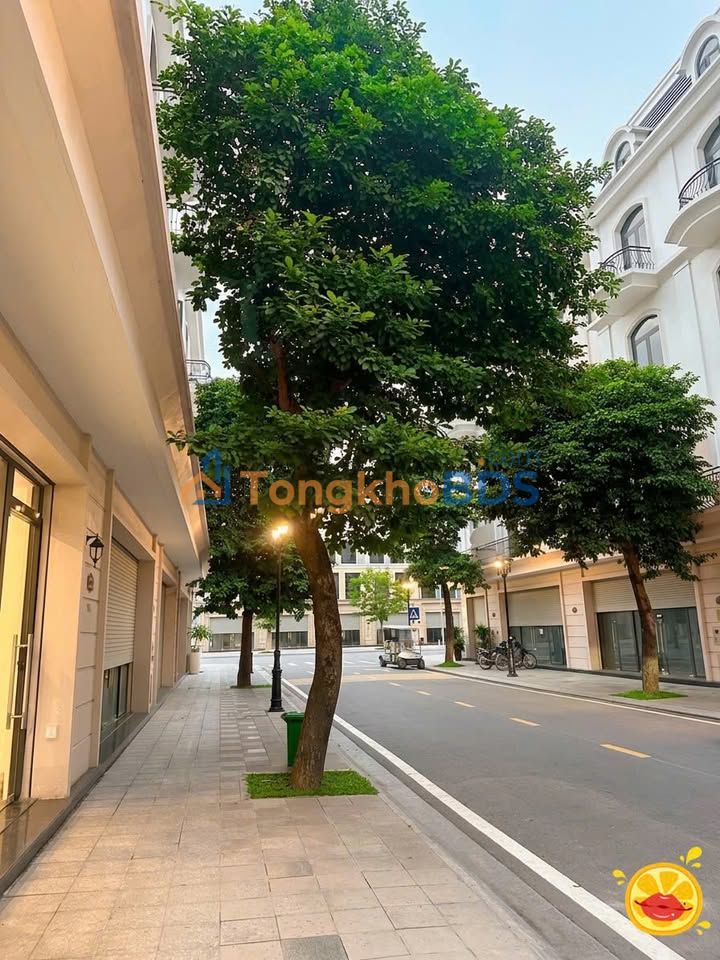 Shophouse Vincom OCP2 84m² 14 tỷ - Mặt tiền kinh doanh sầm uất