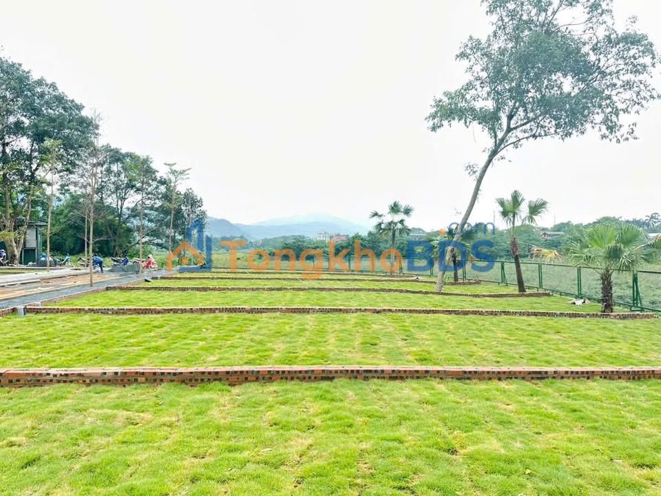 Đất nền Phú Cát Quốc Oai 130m² - Đất thổ cư 100% tiềm năng
