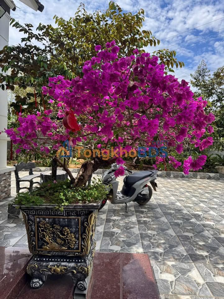 Đất Phú Cát, Quốc Oai 360m² 3.96 tỷ - View núi đẹp