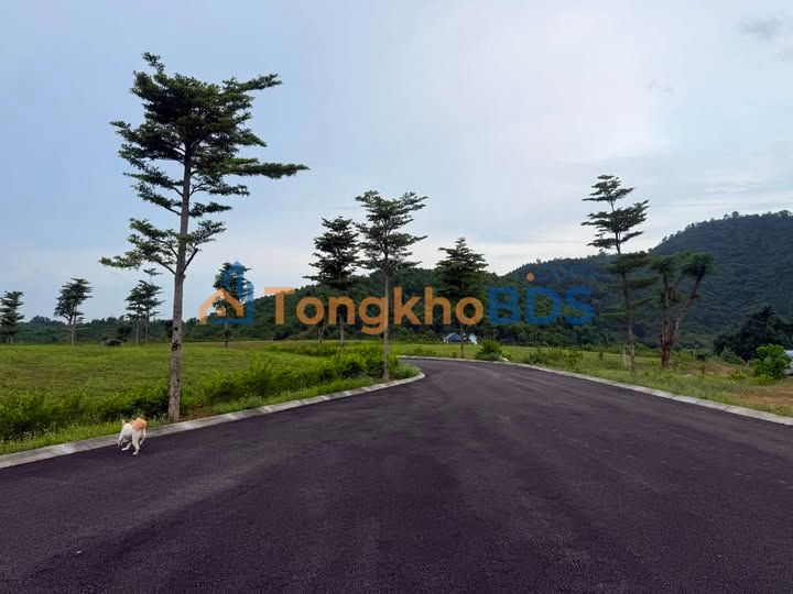 Đất nền Phú Cát New 2300m² giá tốt - Cơ hội đầu tư sinh lời