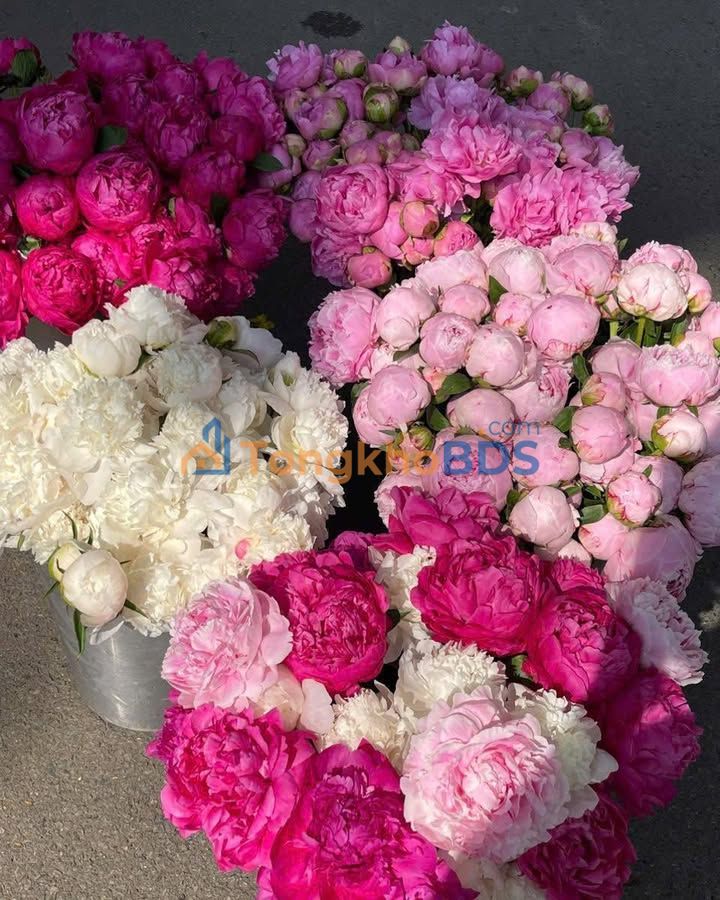 Đất nền 130m² xã Phú Cát, Quốc Oai - Giá đầu tư cực tốt